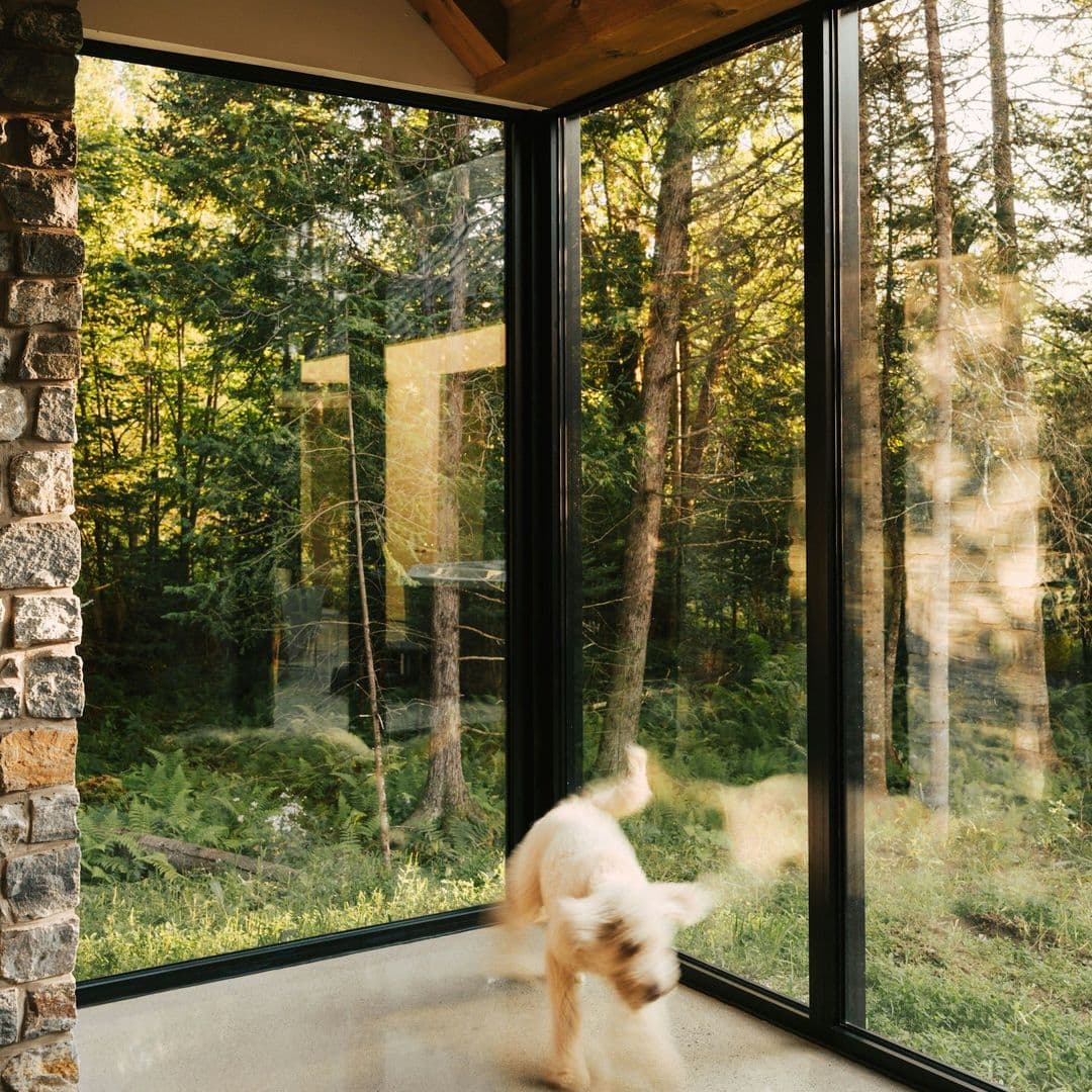 Fensterrahmen in einem Waldhaus