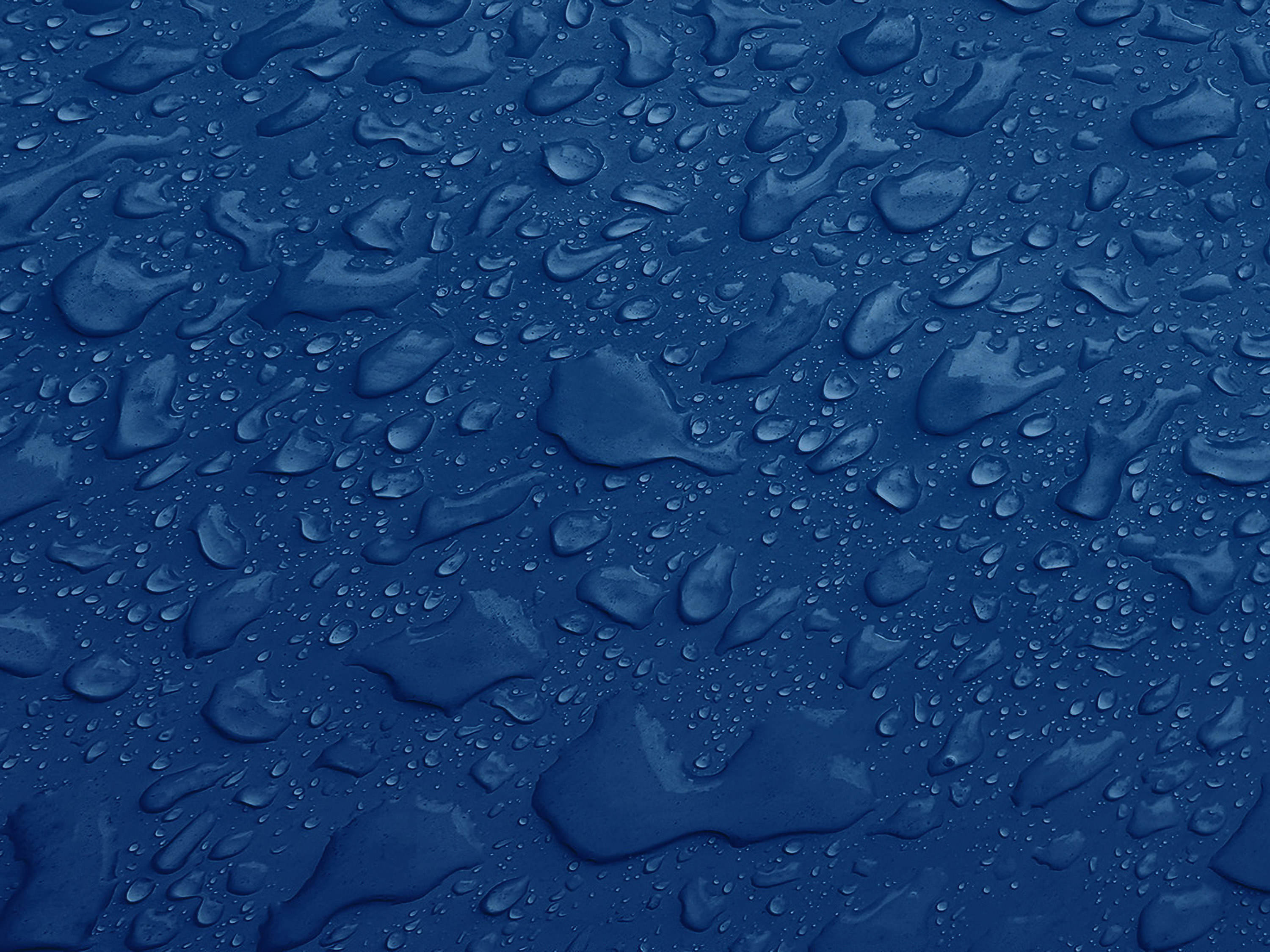 Testbild