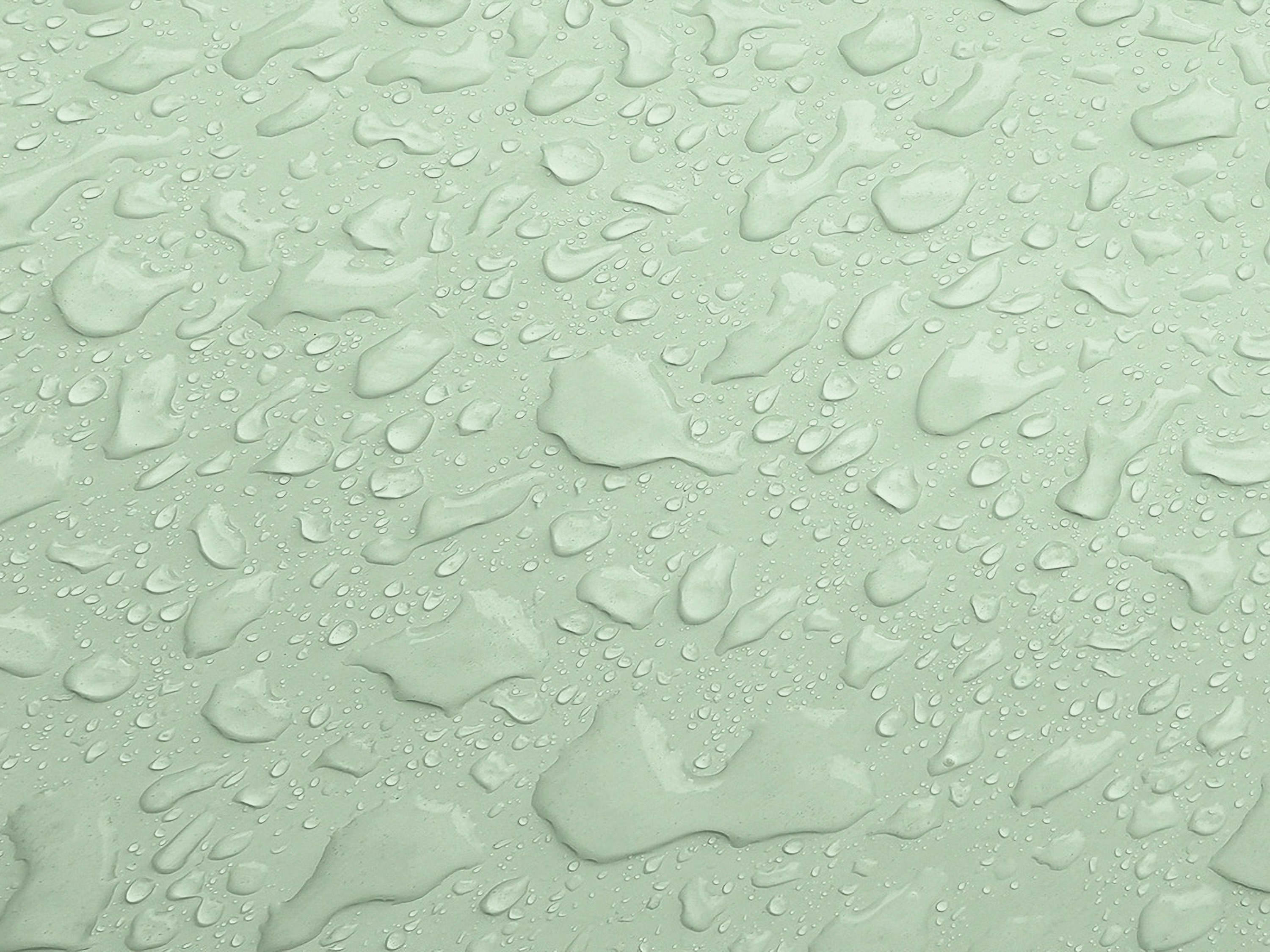 Testbild