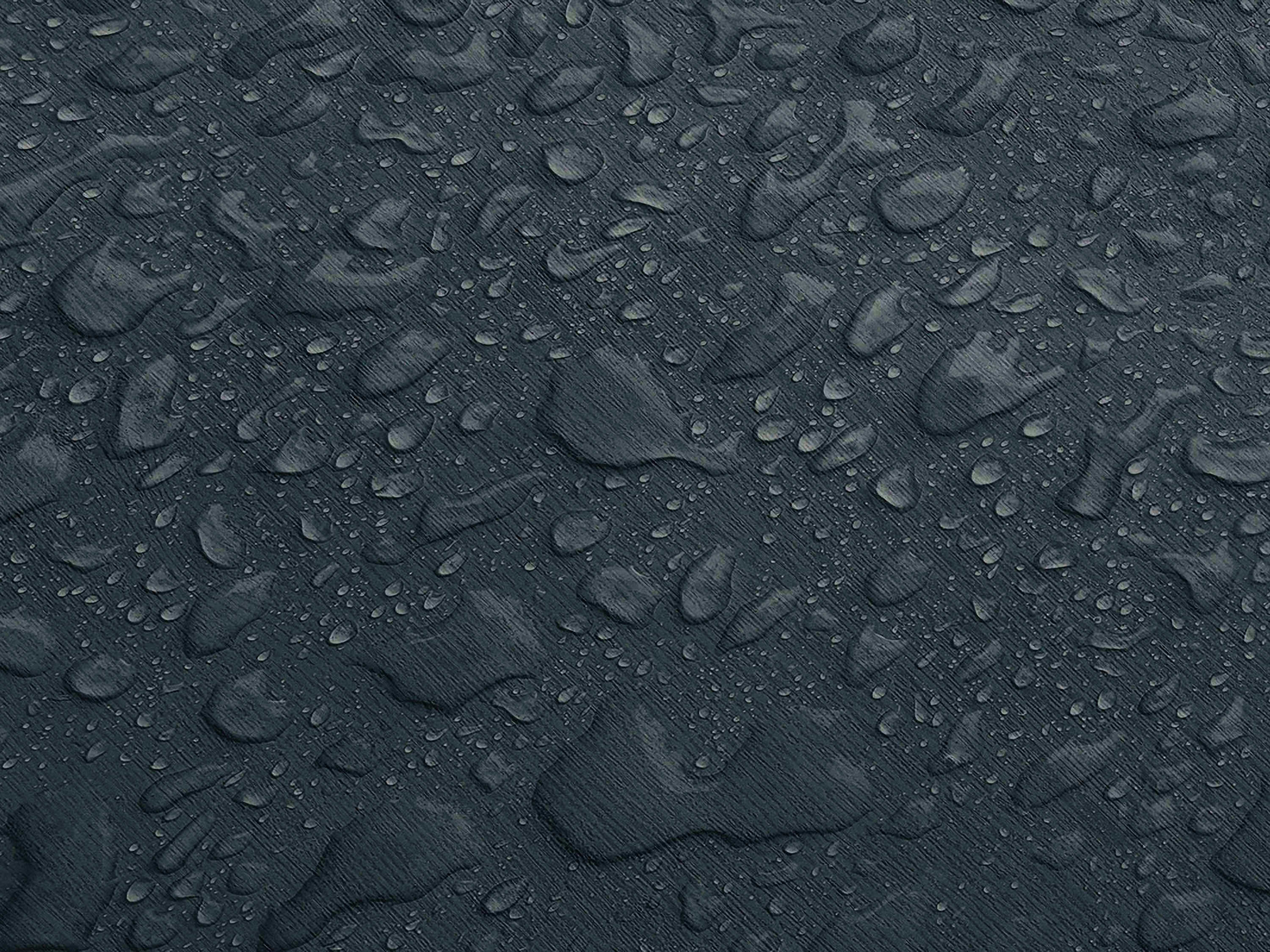 Testbild