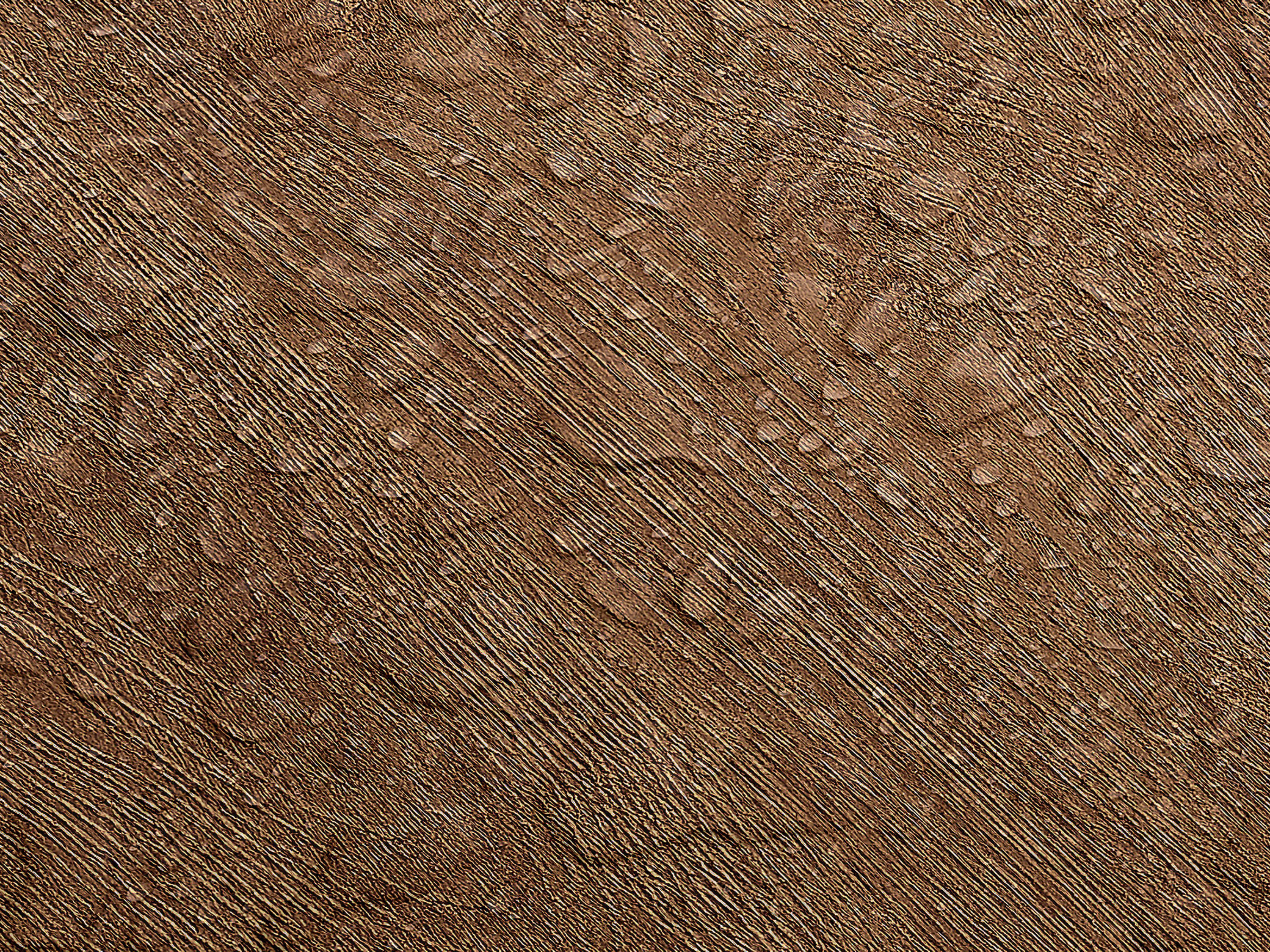 Testbild
