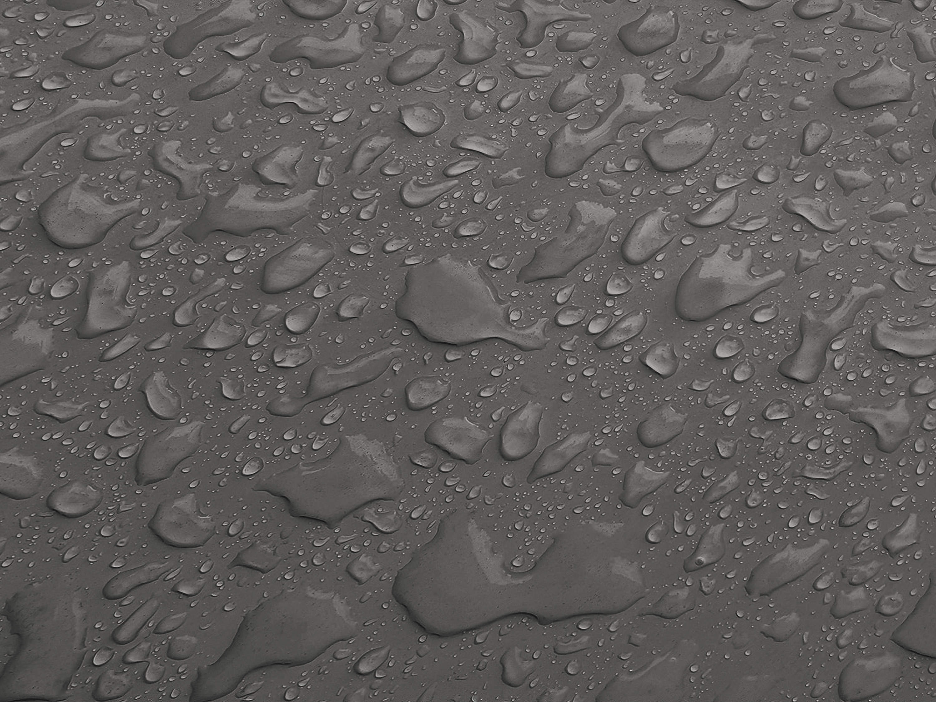 Testbild