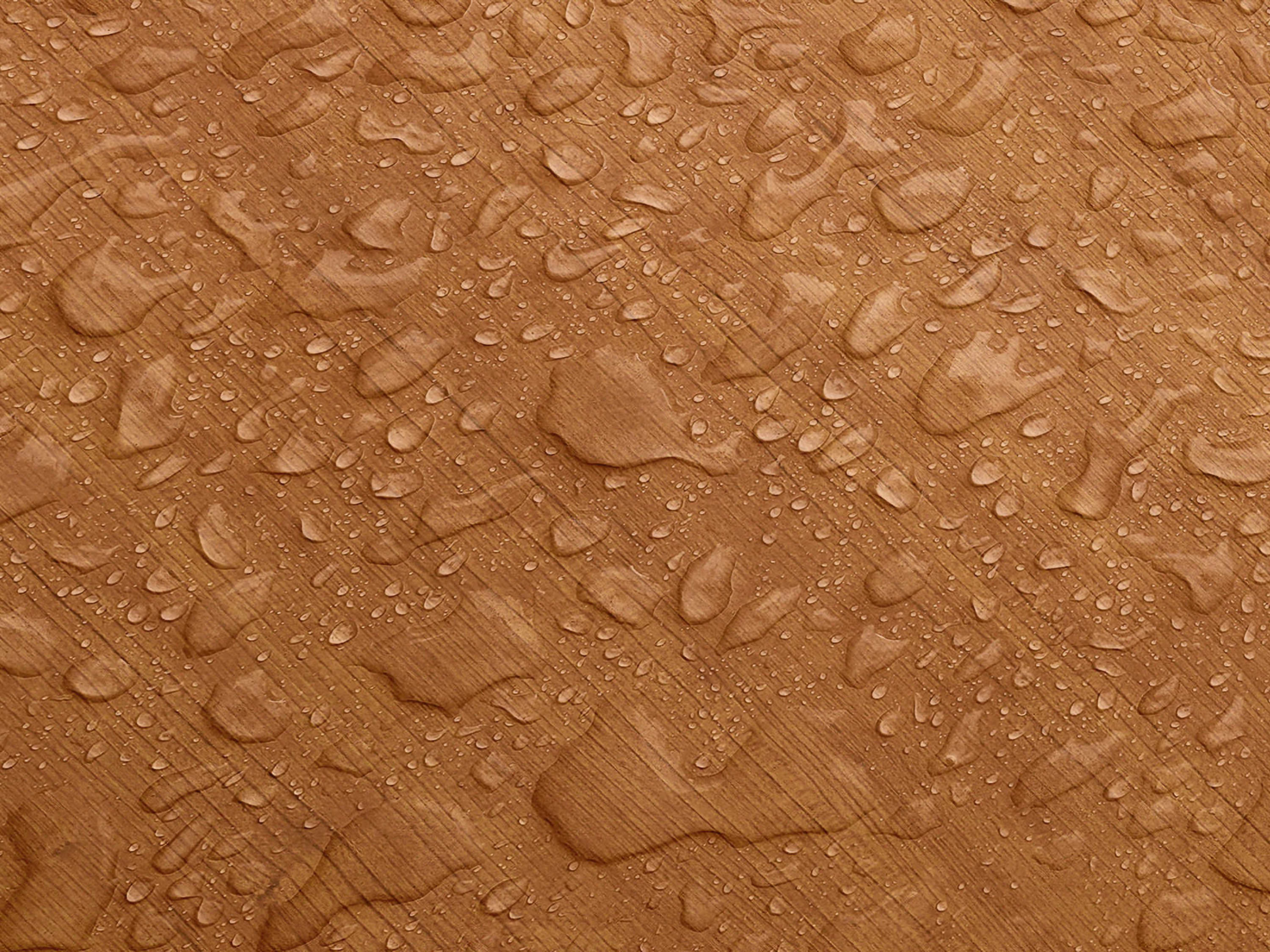 Testbild