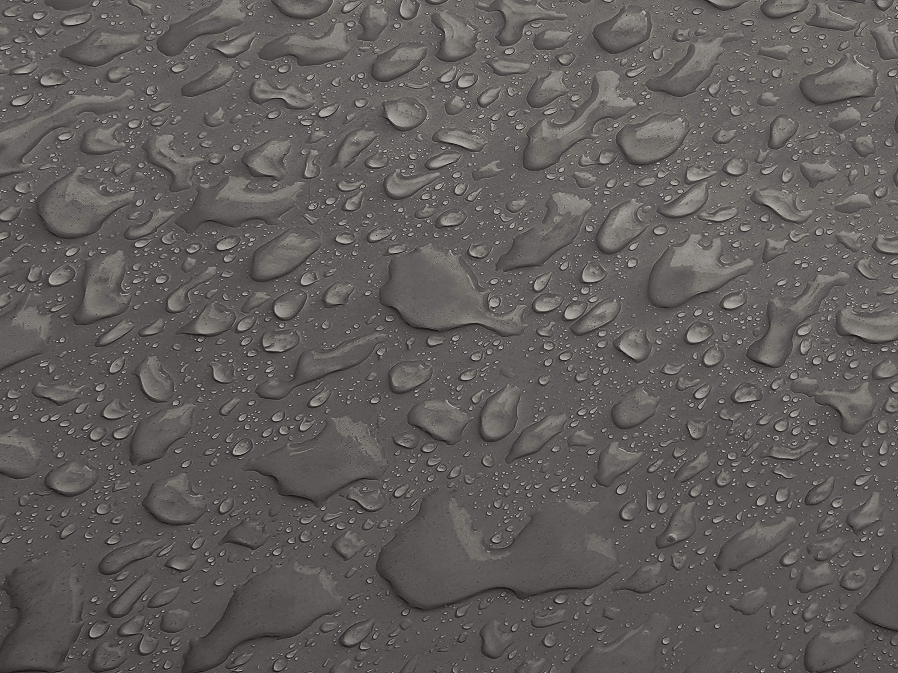 Testbild