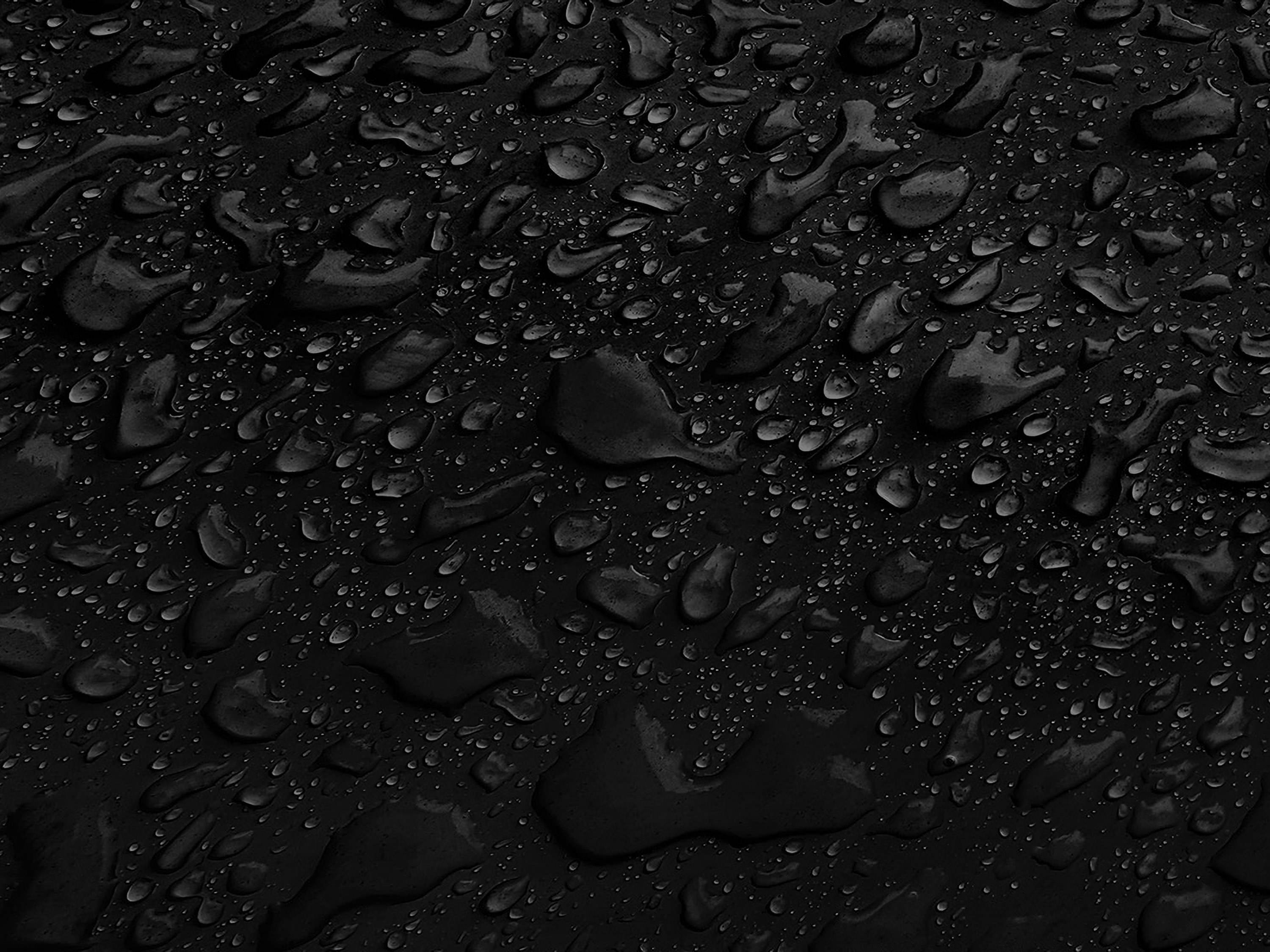 Testbild