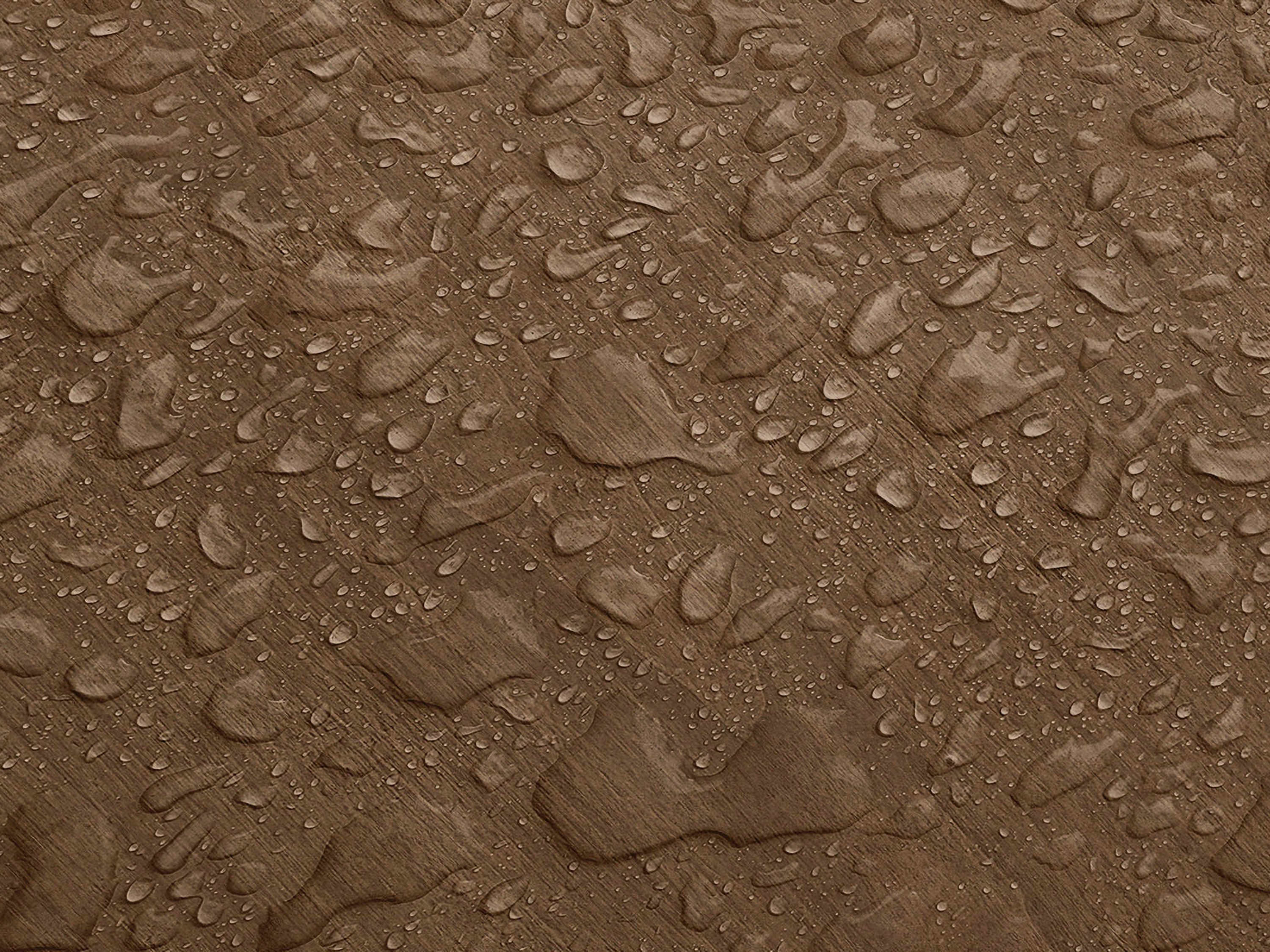 Testbild