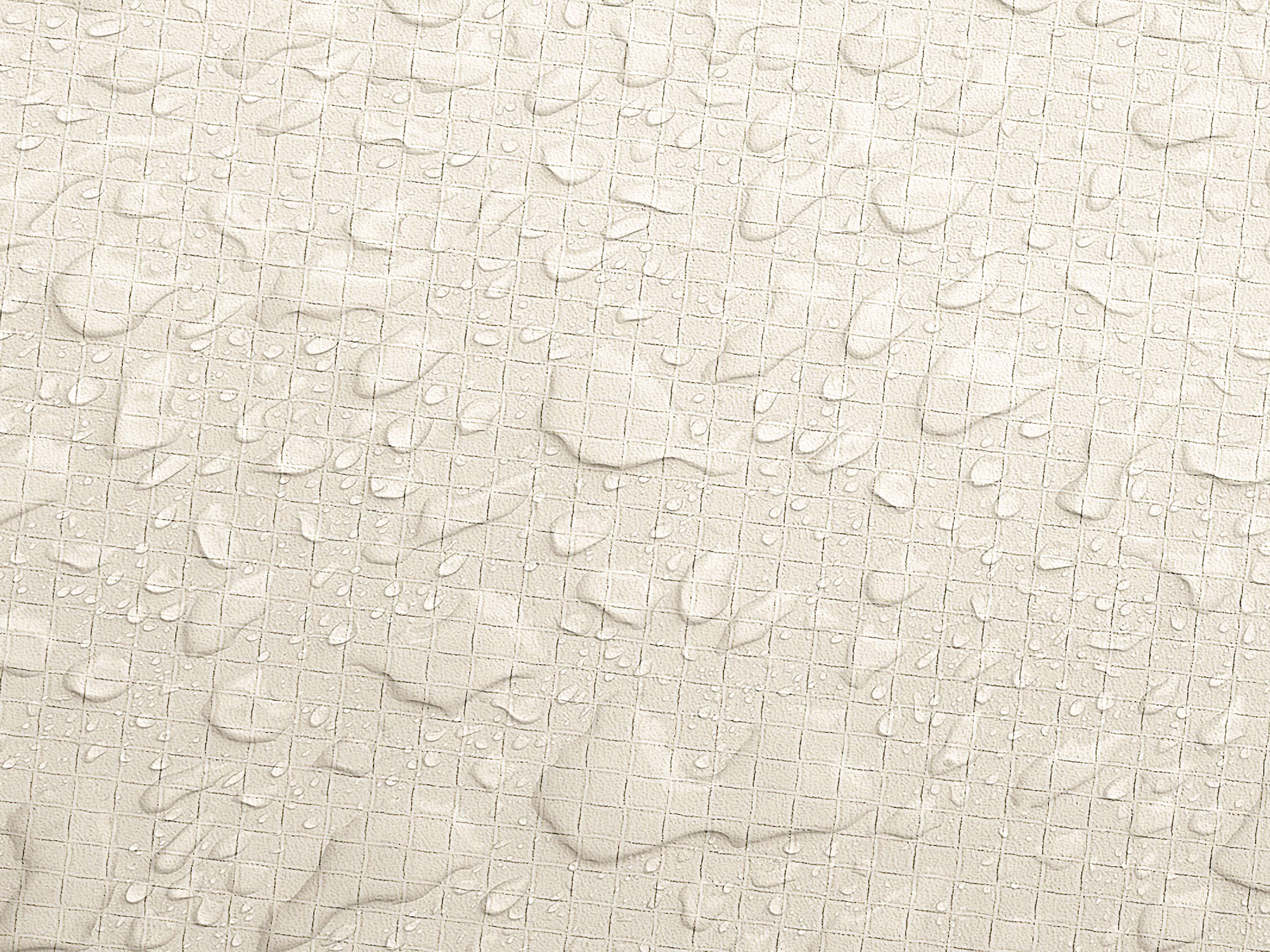 Testbild