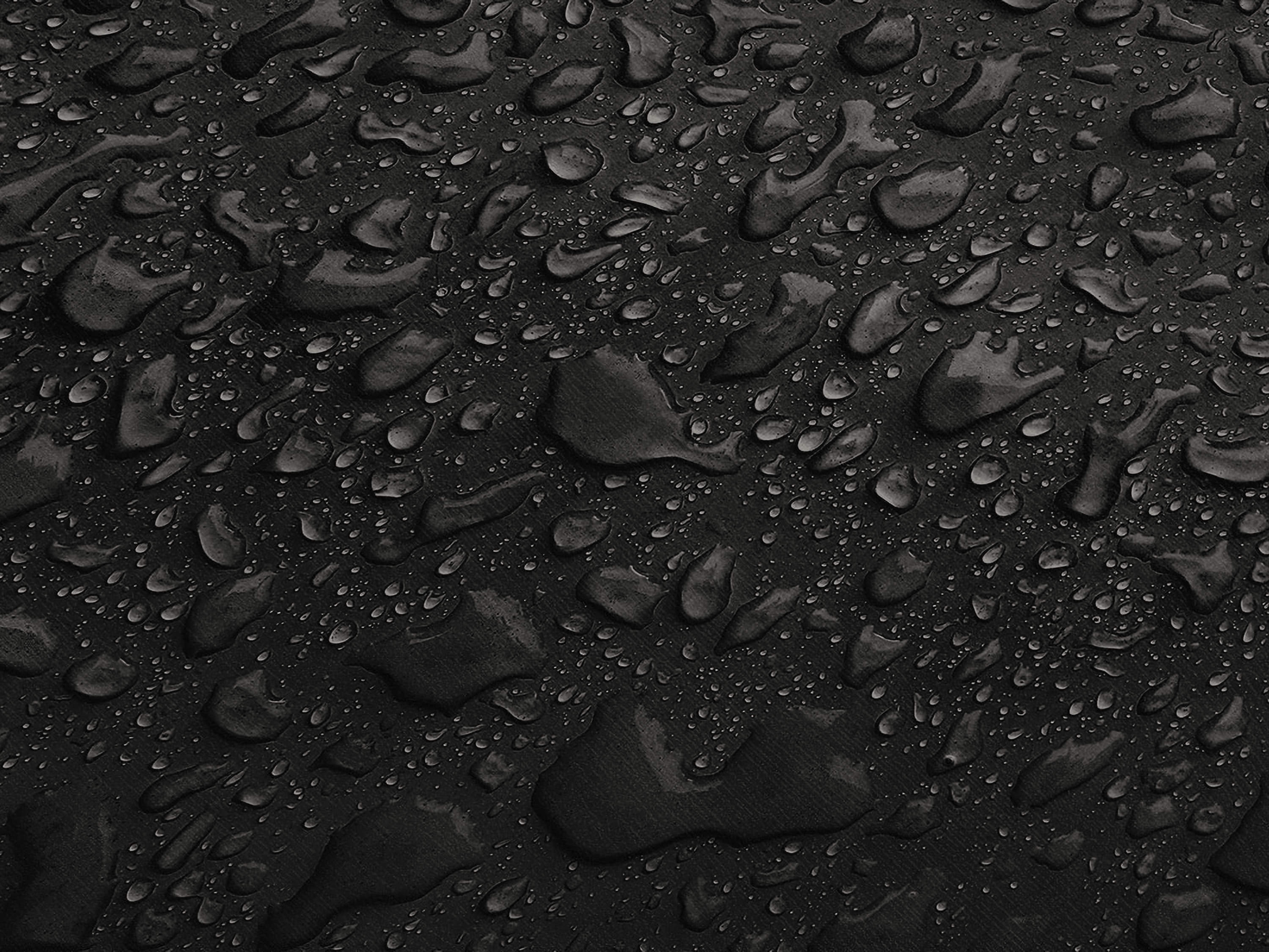 Testbild