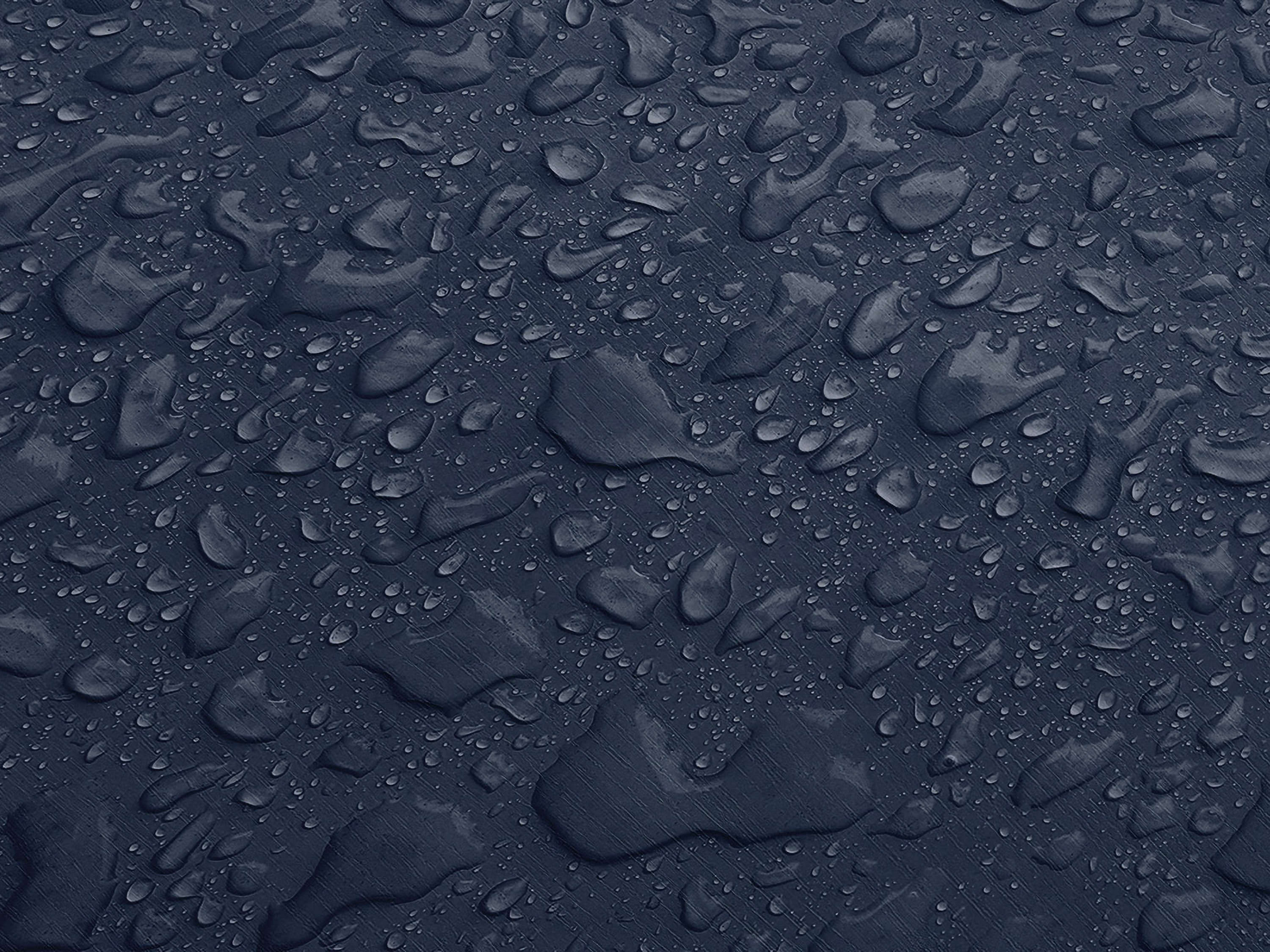Testbild