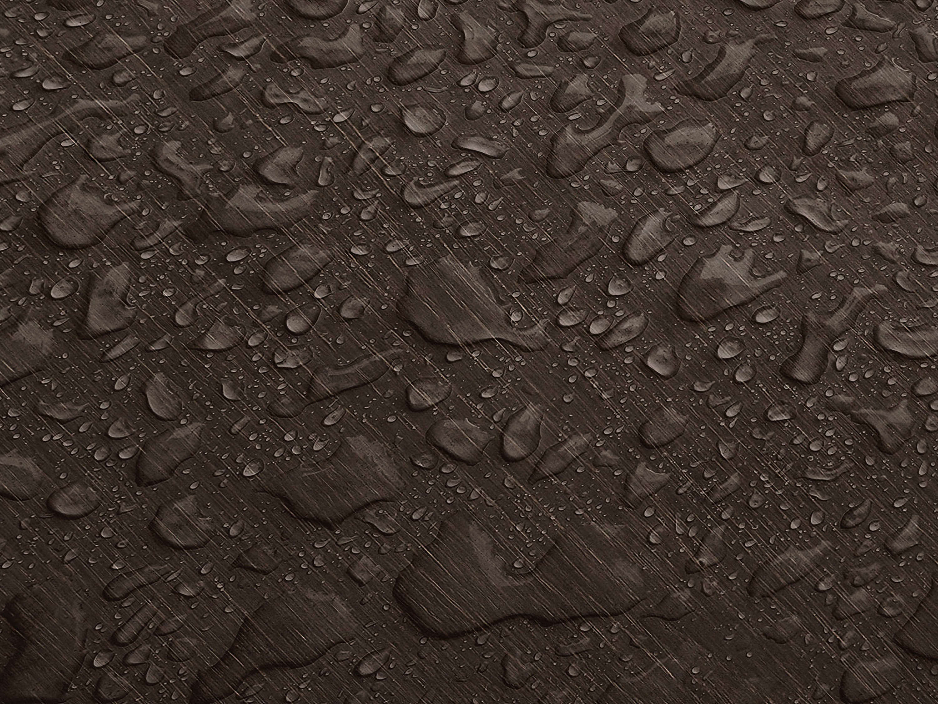 Testbild