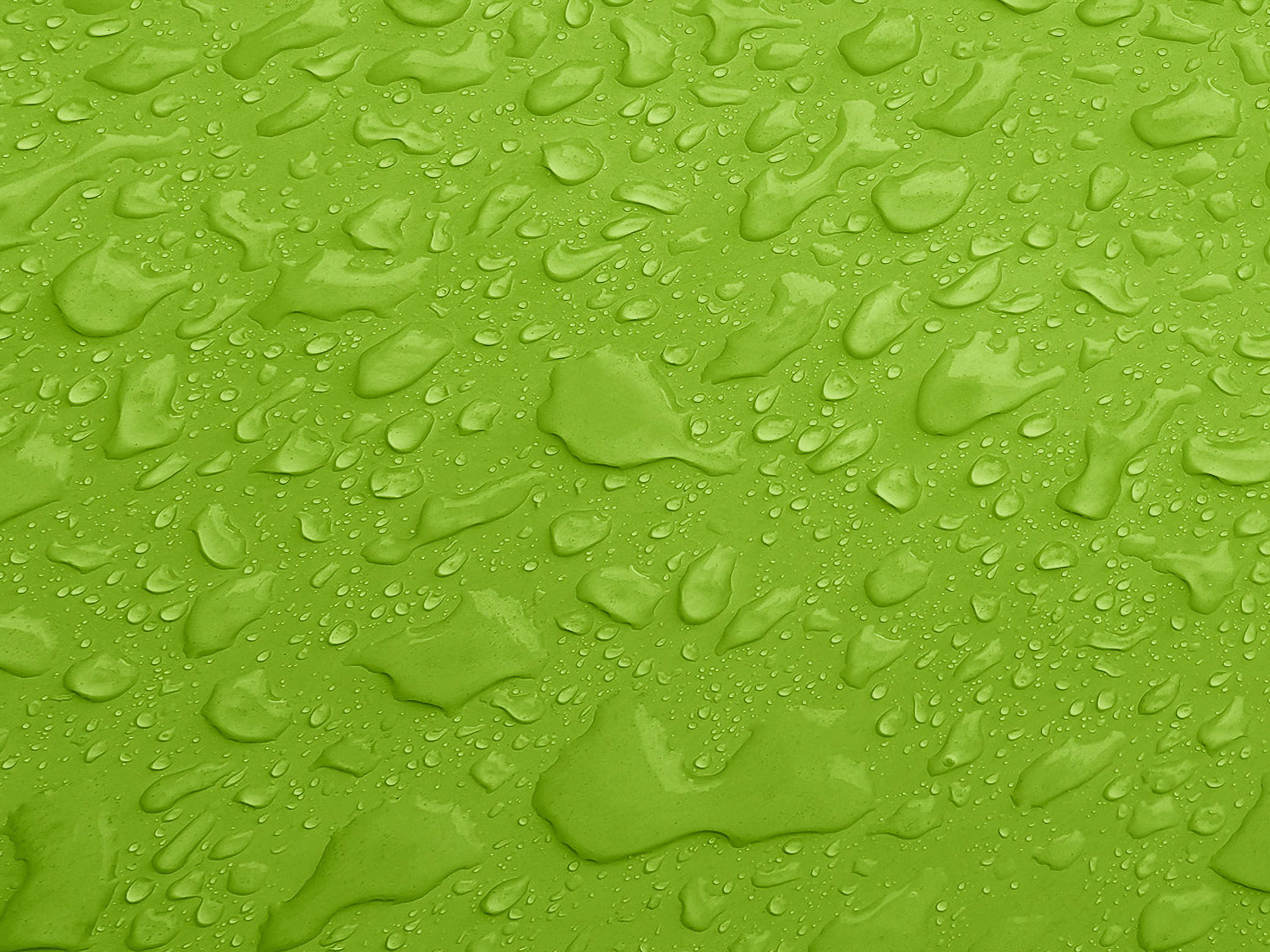 Testbild