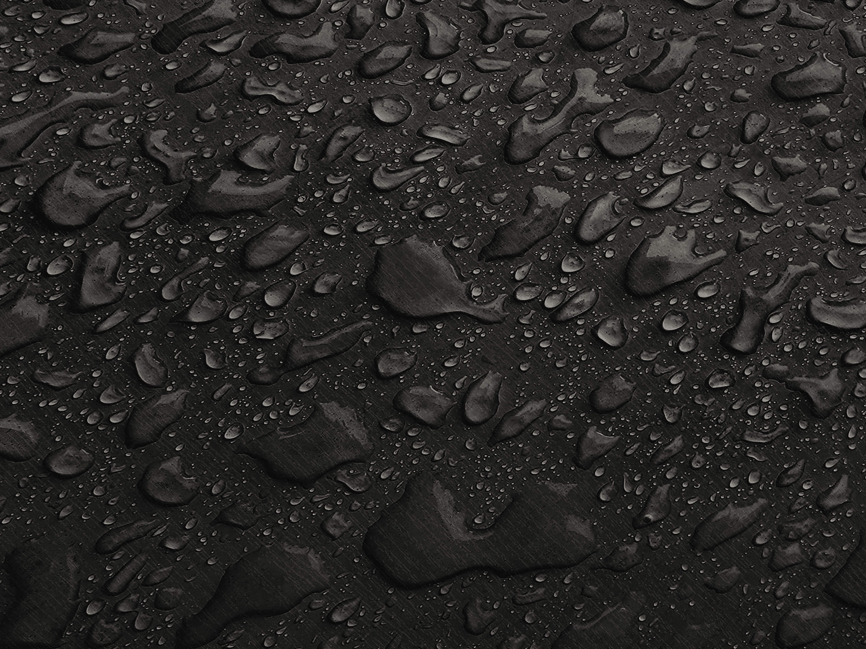 Testbild