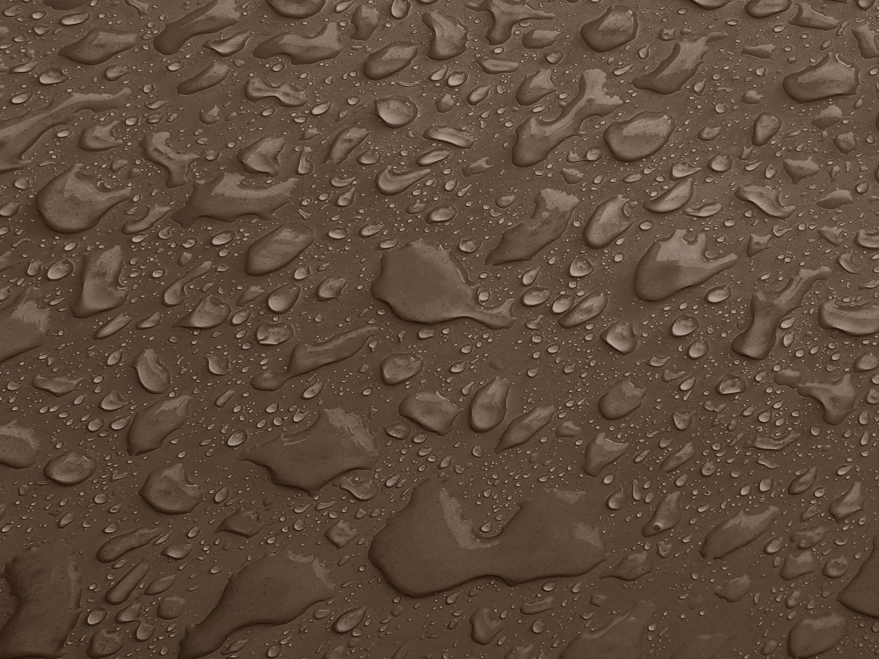 Testbild
