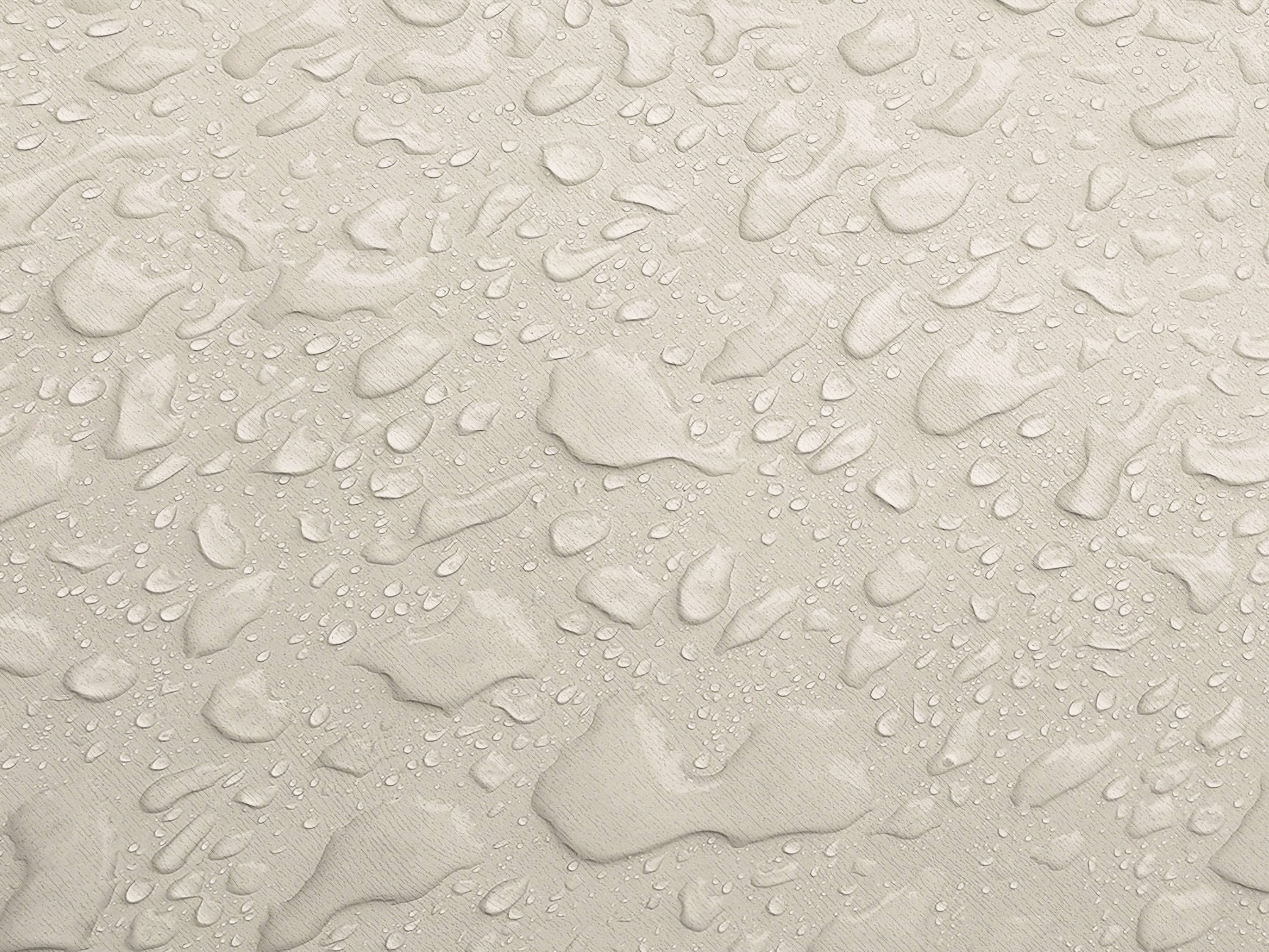Testbild