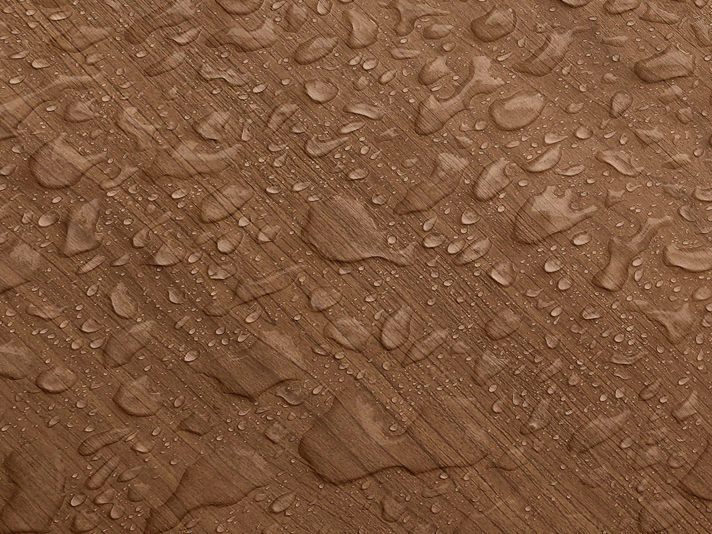 Testbild