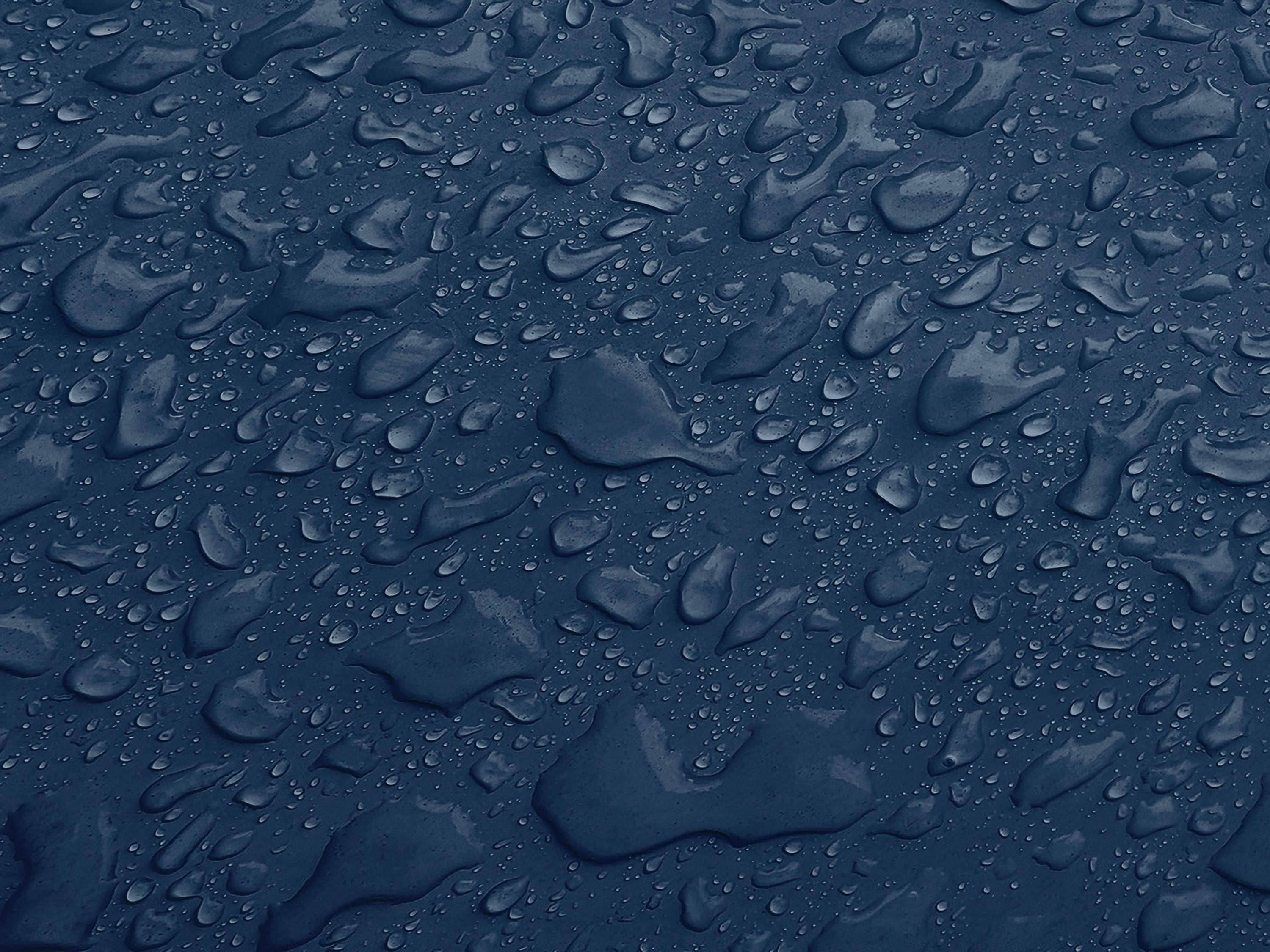 Testbild