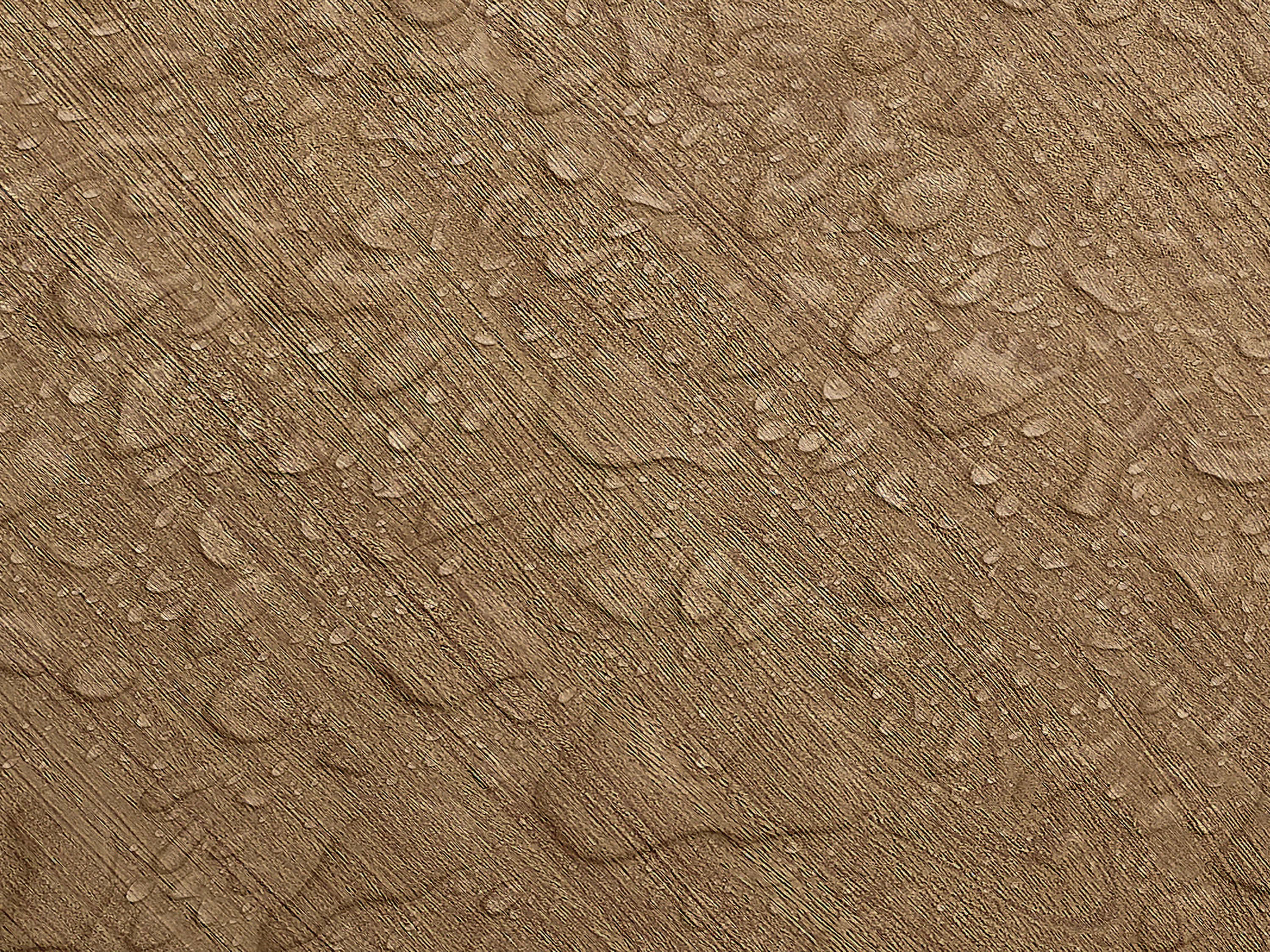 Testbild