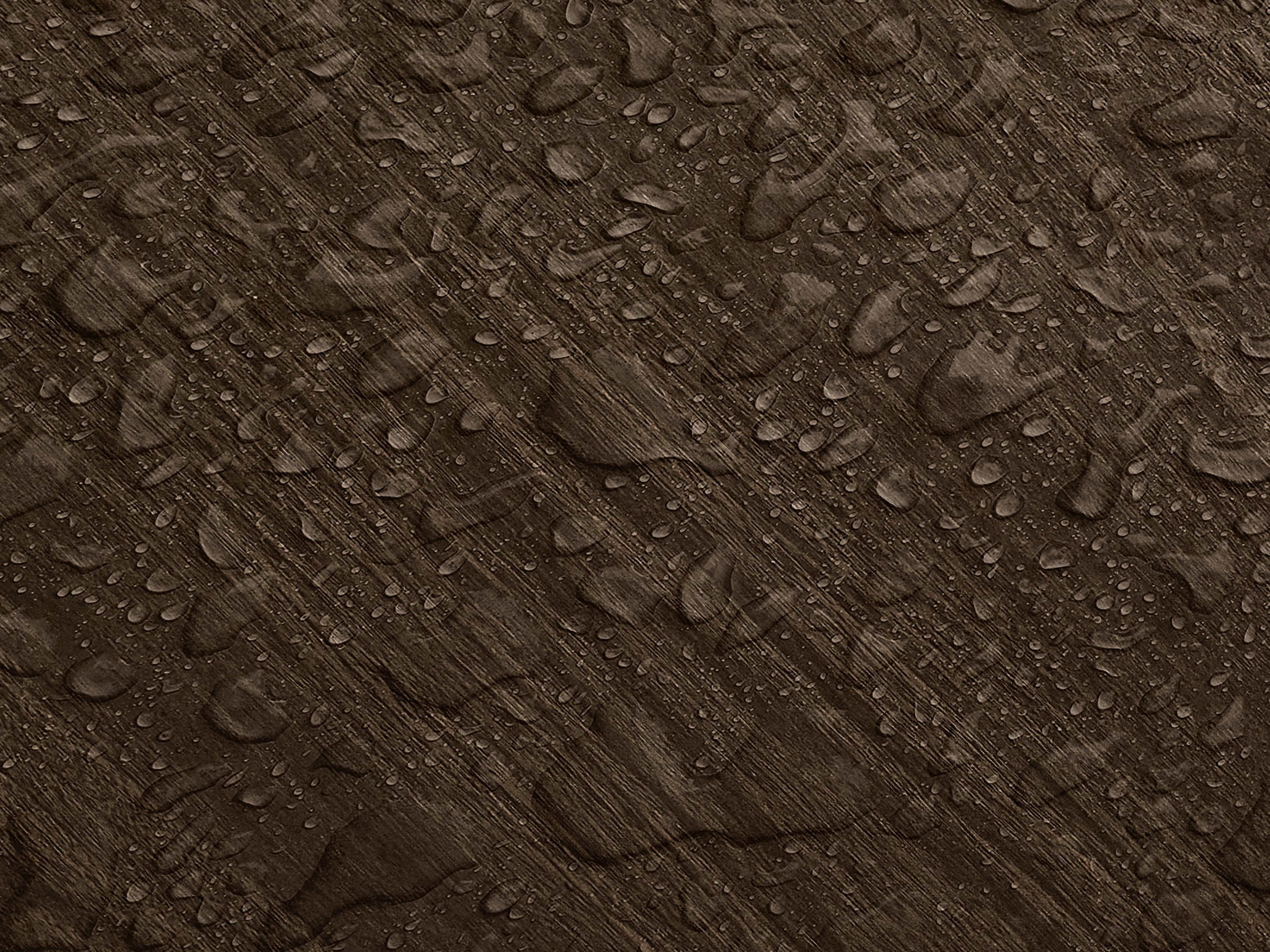 Testbild