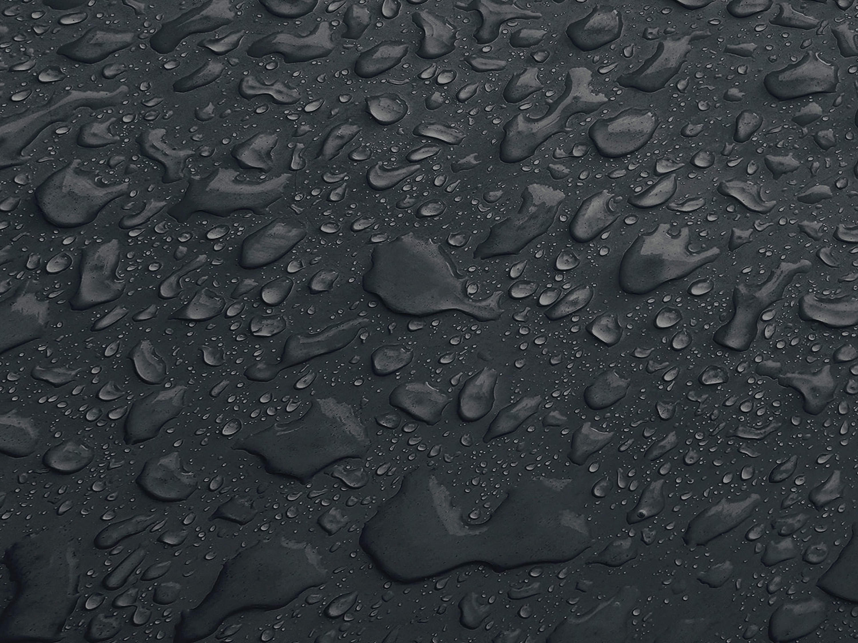Testbild